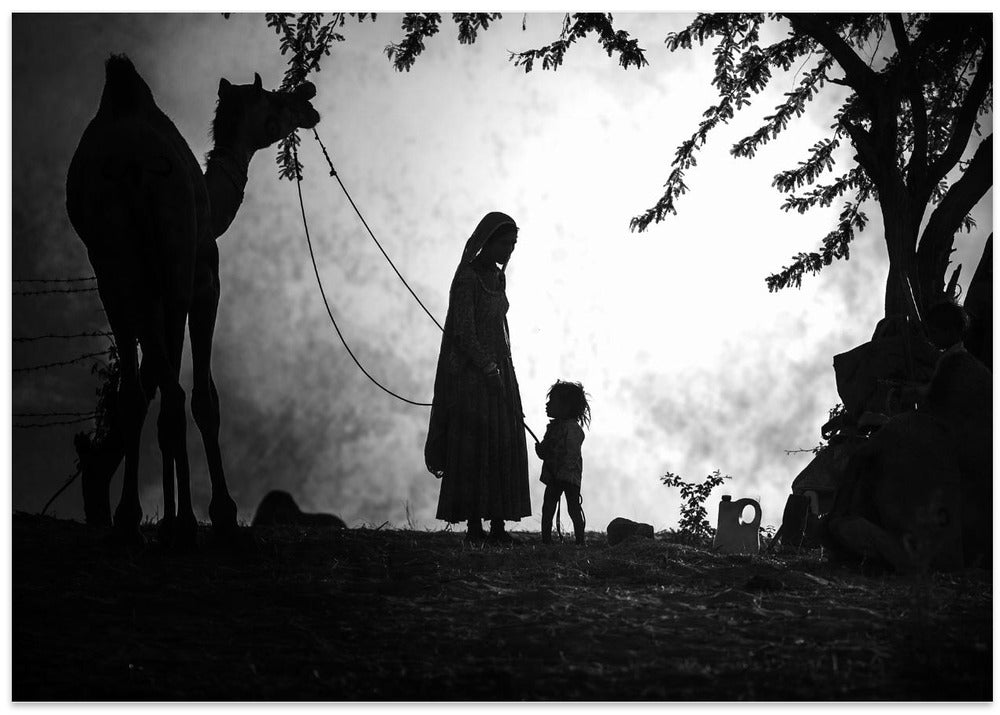 Camel vendors