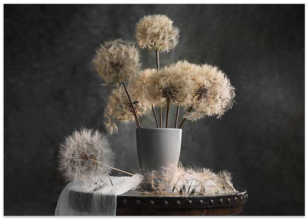 Dandelion Seed Pod