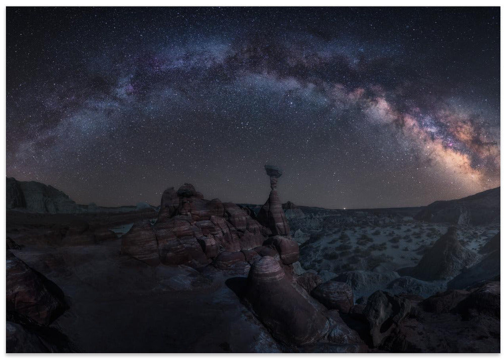 Toadstool Night