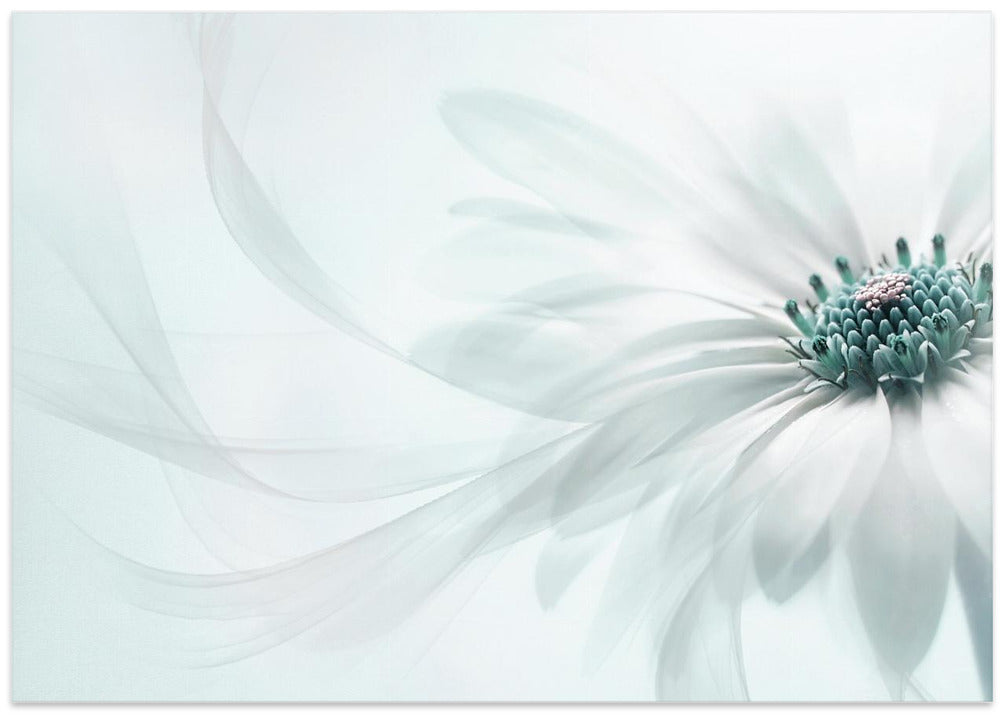 Purity