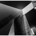 Art Prints of Rotterblack
