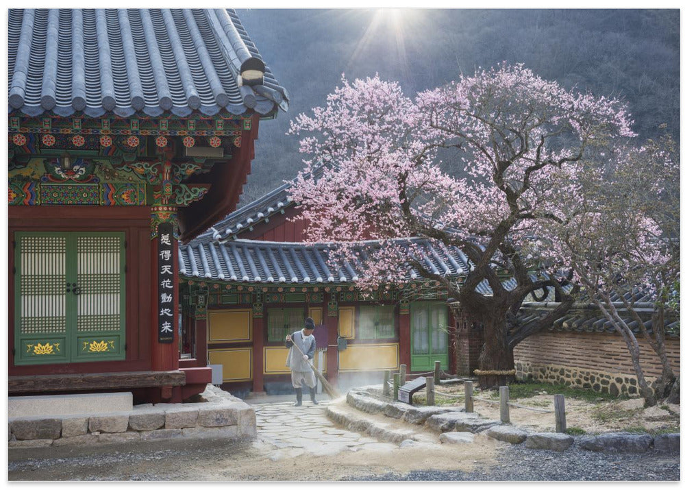 The scent of spring