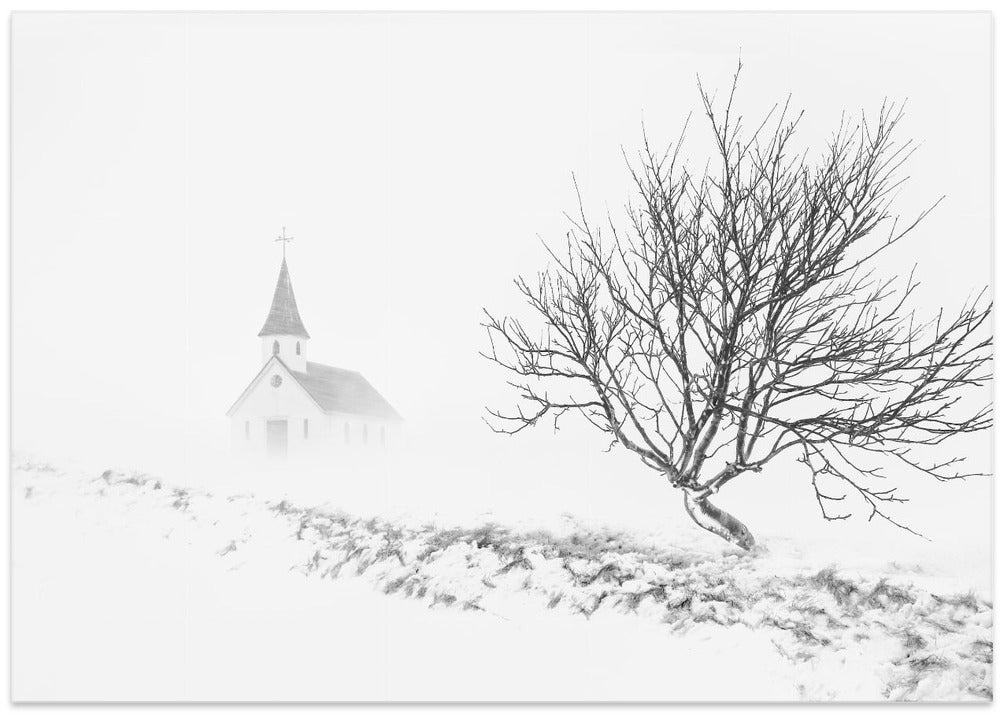 In Snowstorm