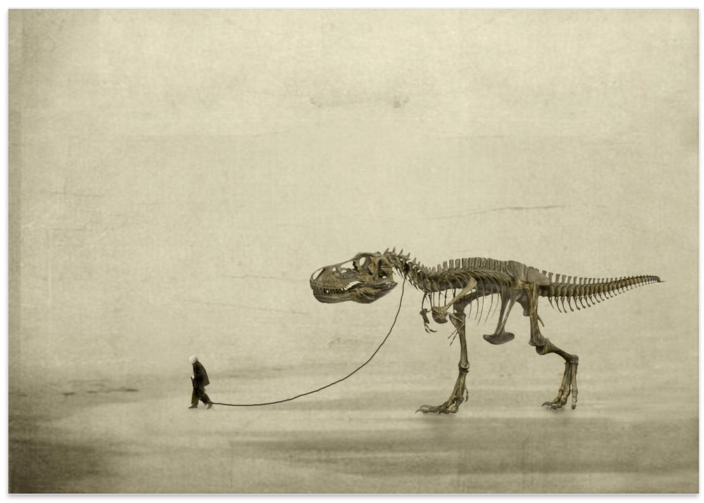 the walk