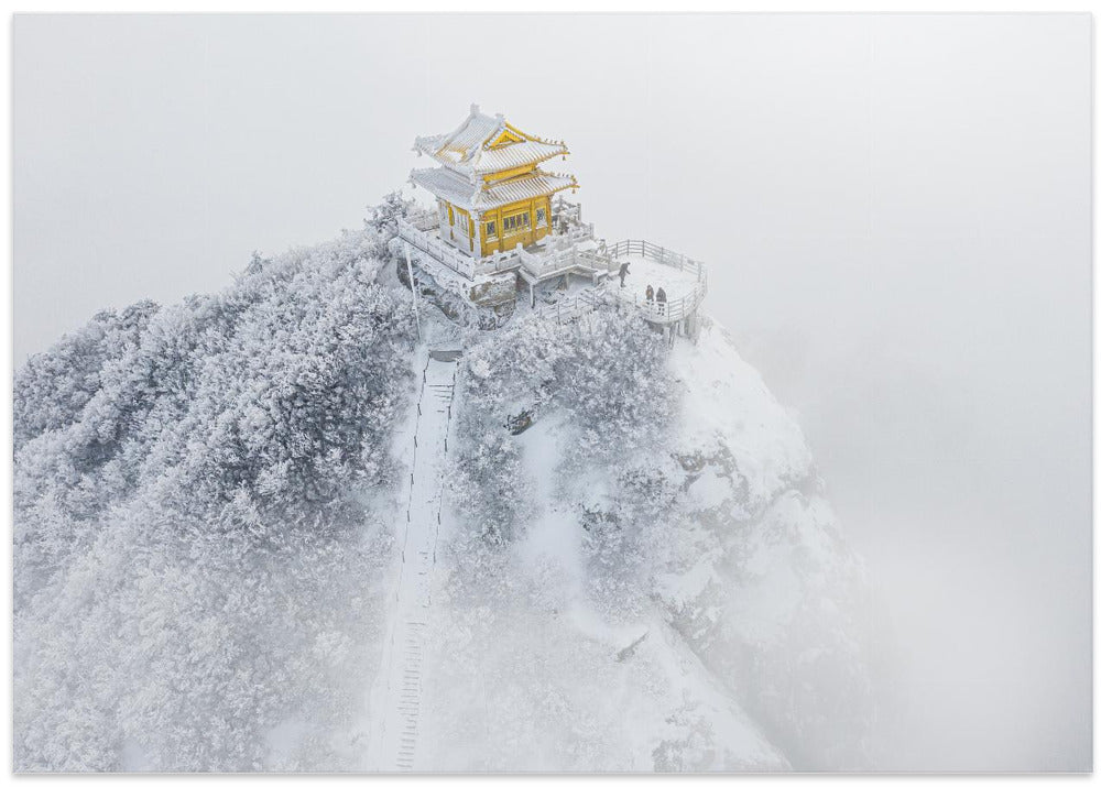 the Moon Palace