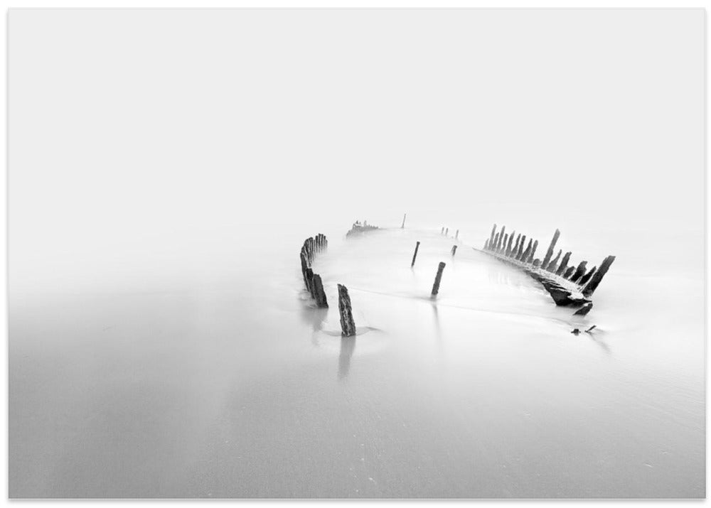 Into the mist