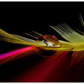 Colors in the drop