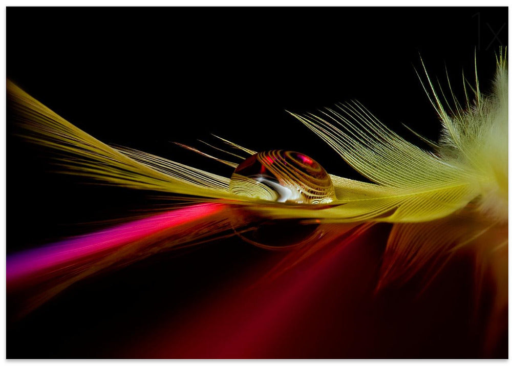 Colors in the drop