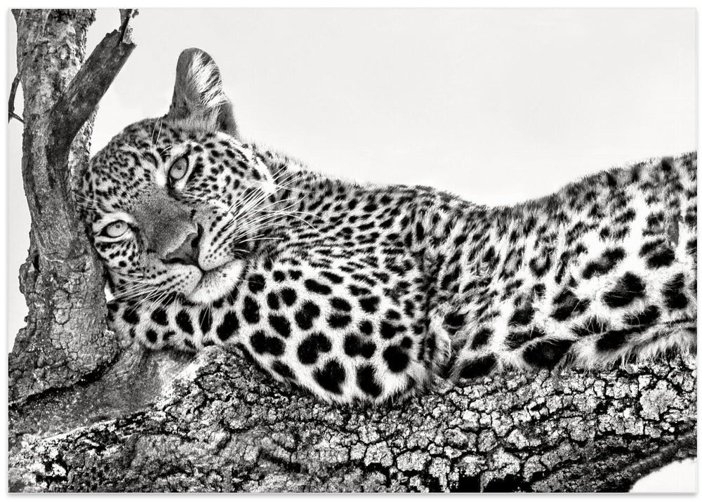 Time to rest
