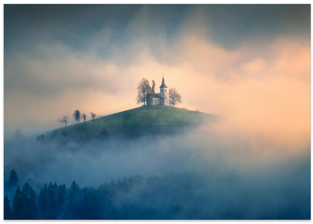 Morning Light