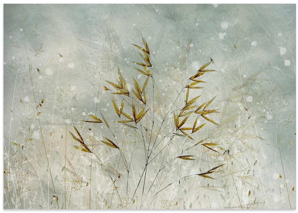 Wintertime