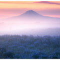 Iceland - Morning Calmness