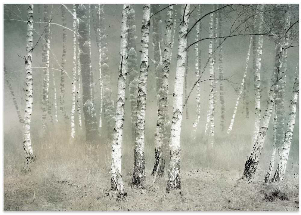 Morning silence