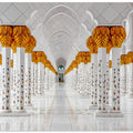 Under the gaze of Allah