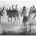 Art Prints of Biblical