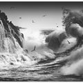 BIRDS IN THE STORM (Part 10)