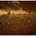 Golden Woods