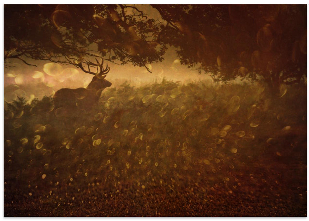 Golden Woods