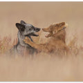 Art Prints of Long time no see!
