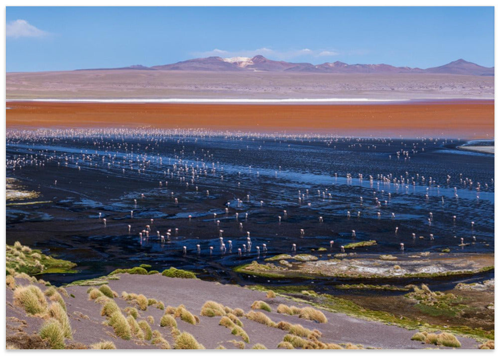Laguna colorada