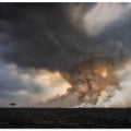 Savannah Burning