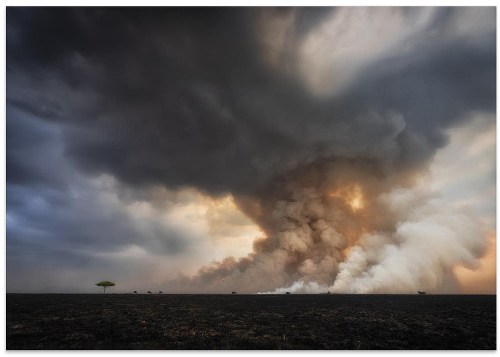 Savannah Burning