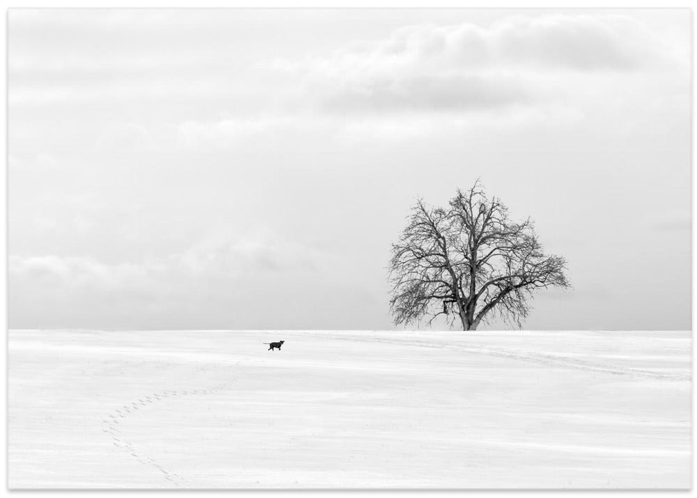 In winter
