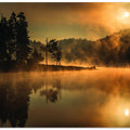 Sunny morning