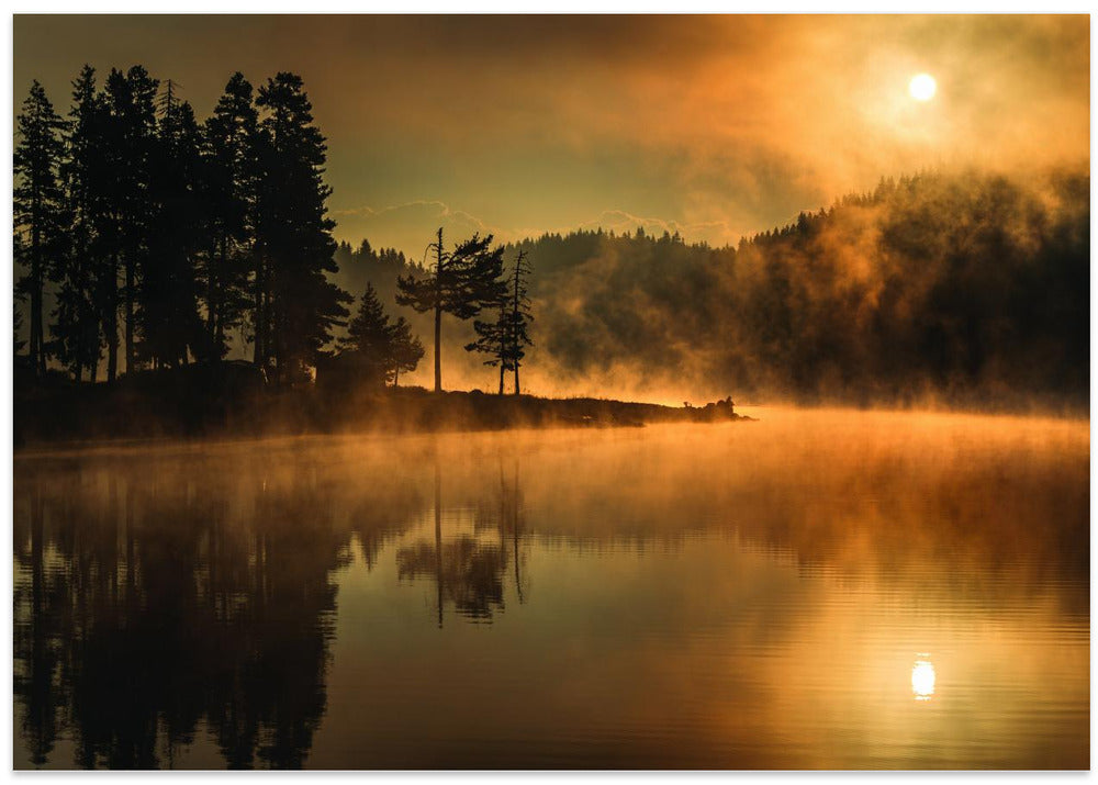 Sunny morning