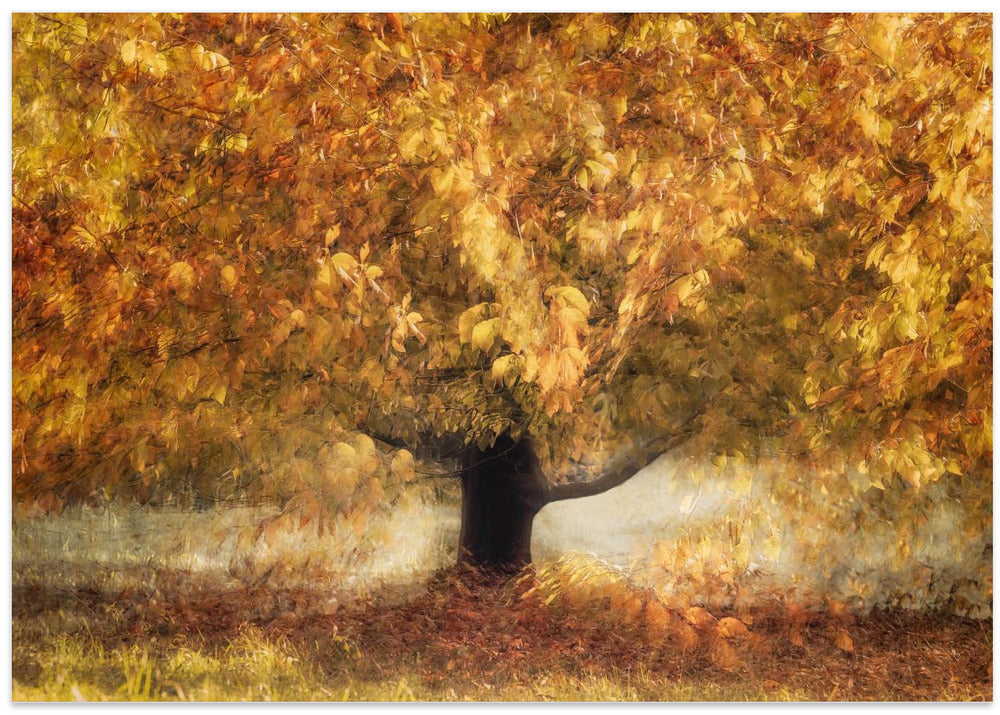 Gold colors