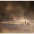 Art Prints of Foggy morning