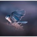 A bird world VIII
