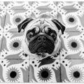Art Prints of Vudú