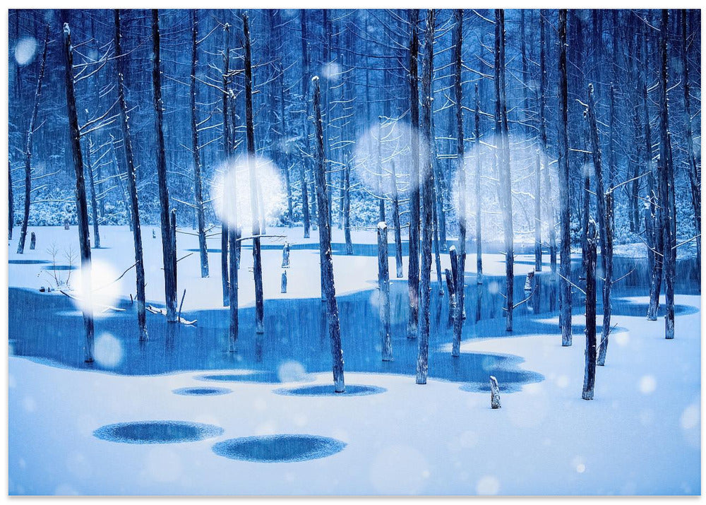 Fairyland