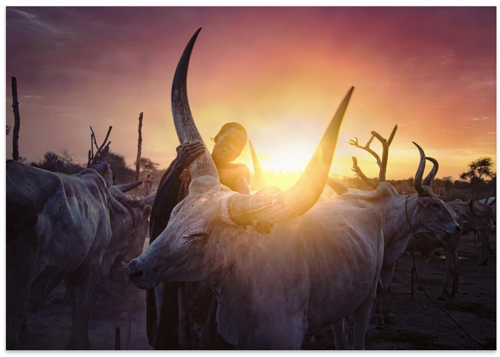 Mundari's cow man