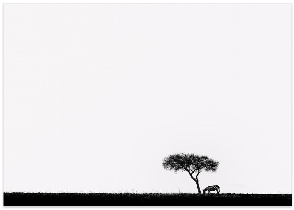 Africa