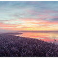 The heron's morning view.