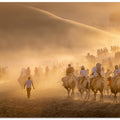 Camel Caravan