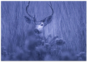 Art Prints of winter night