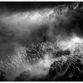Art Prints of herd of sheep