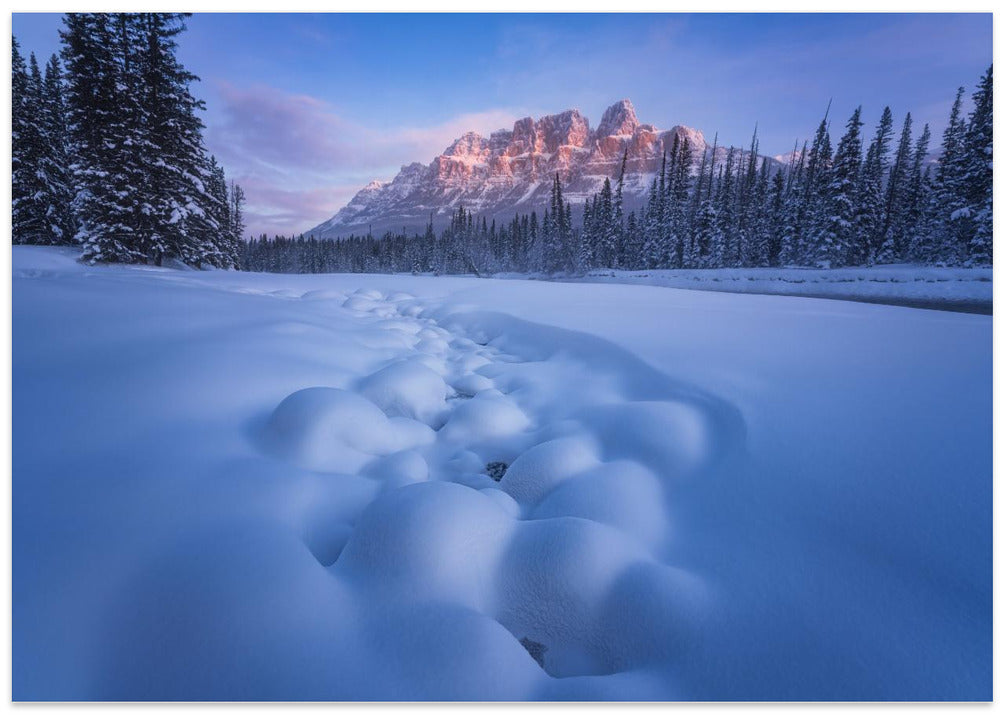 Snow Castle