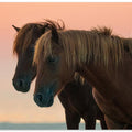 Art Prints of Looking forward