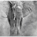 Art Prints of giant