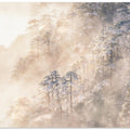 Pinus taiwanensis in the clouds.