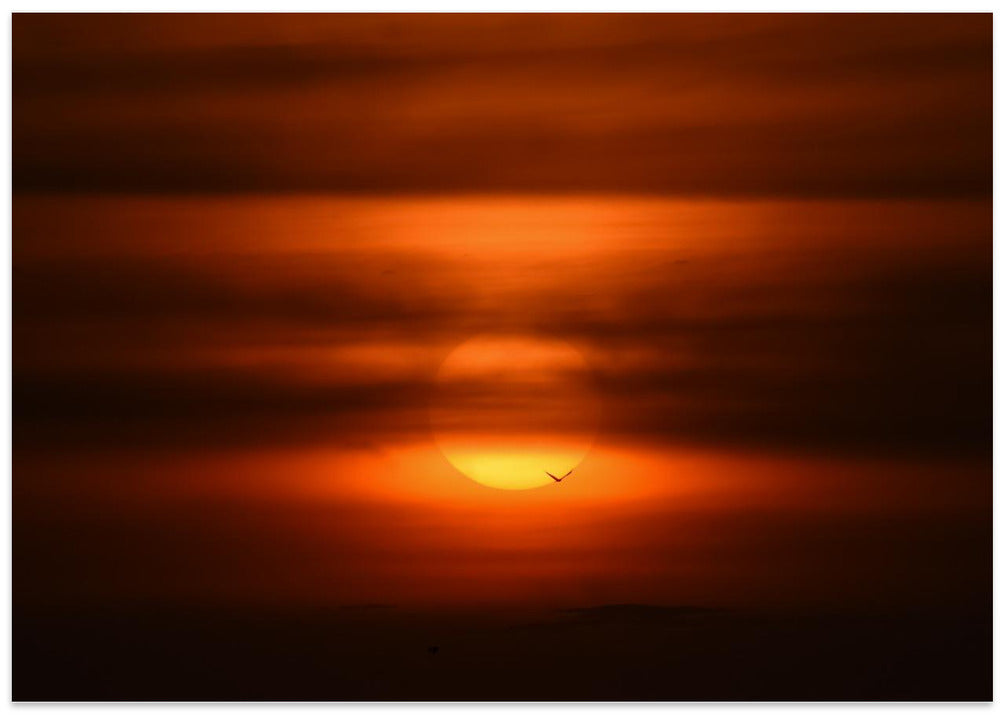 Sunset Hues
