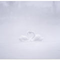 Art Prints of Love in the foggy morning