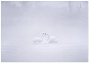 Art Prints of Love in the foggy morning