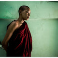 The Young Monk