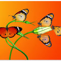 Art Prints of Family