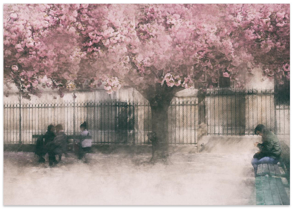 sweet spring